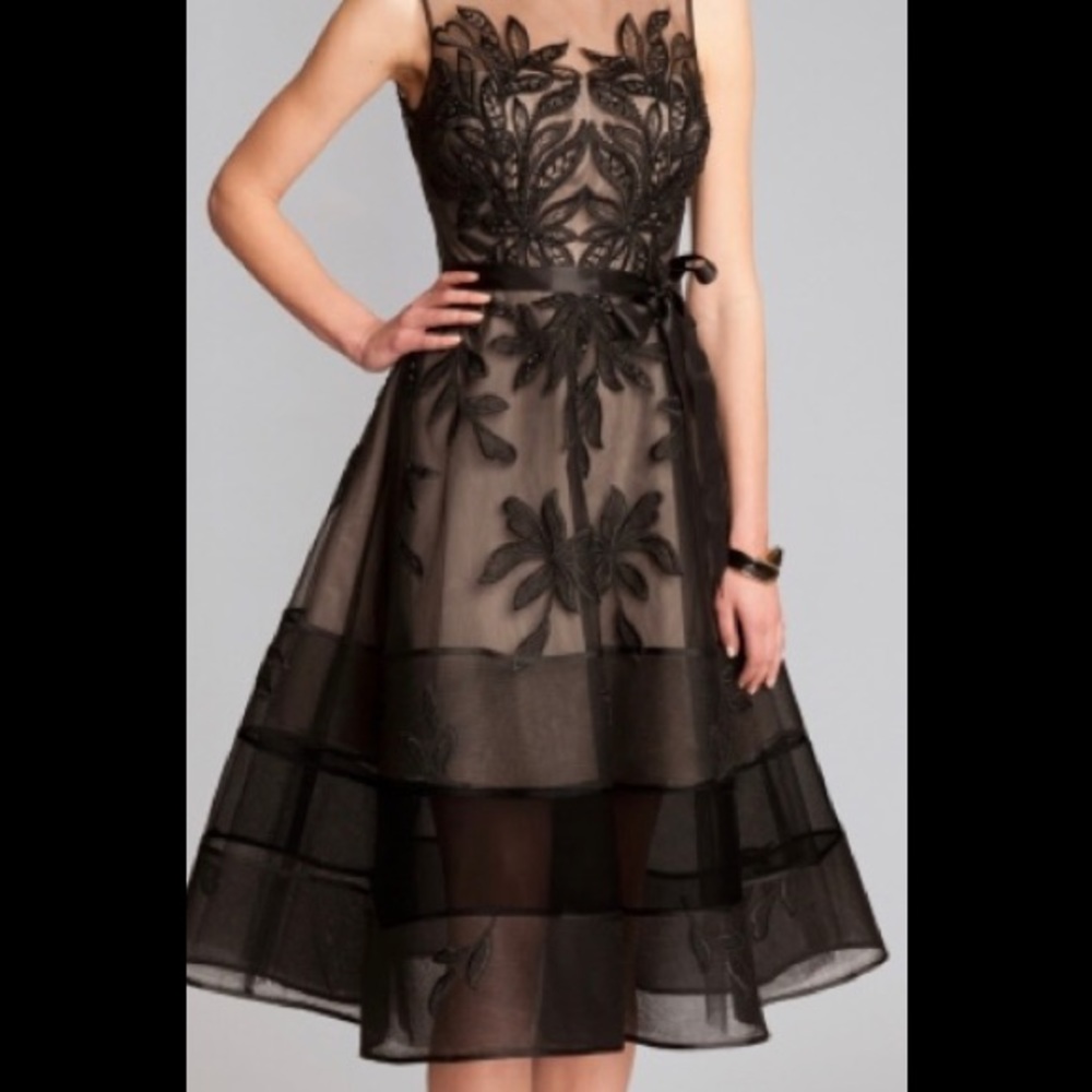Teri Jon for Ricki Freeman...evening dress